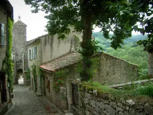 Penne - Narrow paved street leading to the Pont gateway with stone houses, tree, flowers, plants and forest in background