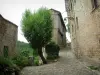 Penne - Pavement in foreground, narrow street lined with stone houses, tree, plants and flowers