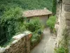 Penne - Estrecho callejón, la vegetación, casas de piedra y el bosque