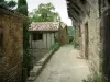 Penne - Narrow street of the village (Albigensian fortified town) with its stone houses