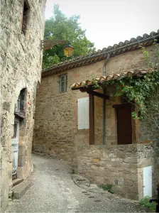 Penne - Casas de piedra en el pueblo (casa de campo contra los albigenses)