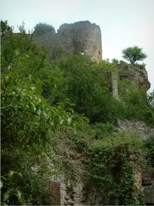 Penne - Bäume und Ruinen des Schlosses (Festung)