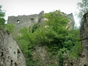 Penne - Bäume und Ruinen des Schlosses (Festung)