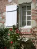 Penne-d'Agenais - Ventana de una casa decorada con una rosa en flor (rosa)