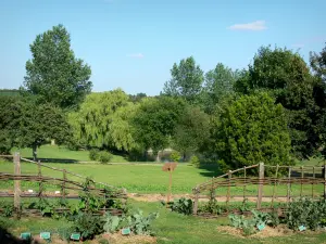 Perche Regional Nature Park - Courboyer domain (information center of the Perche Regional Nature Park): vegetable garden, meadows and lake surrounded by trees; in the town of Nocé