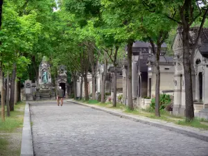 Père-Lachaise cemetery - Alley lined with graves and trees
