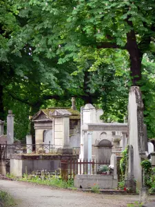 Père-Lachaise cemetery - Graves of the cemetery in a green environment