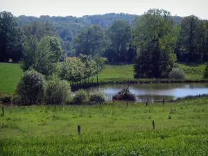 Périgord-Limousin Regional Nature Park - Meadows, pond, trees and forest