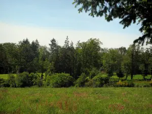 Périgord-Limousin Regional Nature Park - Meadow, shrubs and trees