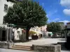 Périgueux - Place Saint-Louis, con sus casas, los árboles y cafés al aire libre