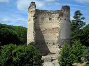 Périgueux - Temple Vesone (vestigia gallo-romane)