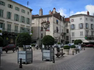 Périgueux - Arbusti in vaso e gli edifici della città