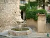 Pernes-les-Fontaines - Fountain and houses decorated with plants