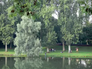 Péronne - Teich umrandet von Bäumen, Park mit Bäumen