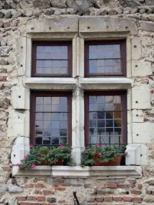 Pérouges - Fenster mit Fensterkreuz, geschmückt mit Blumen