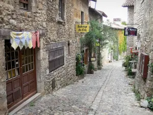 Pérouges - Rue des Rondes street lined with stone houses 