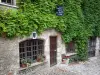 Pérouges - Facade of a house covered with Virginia creeper 