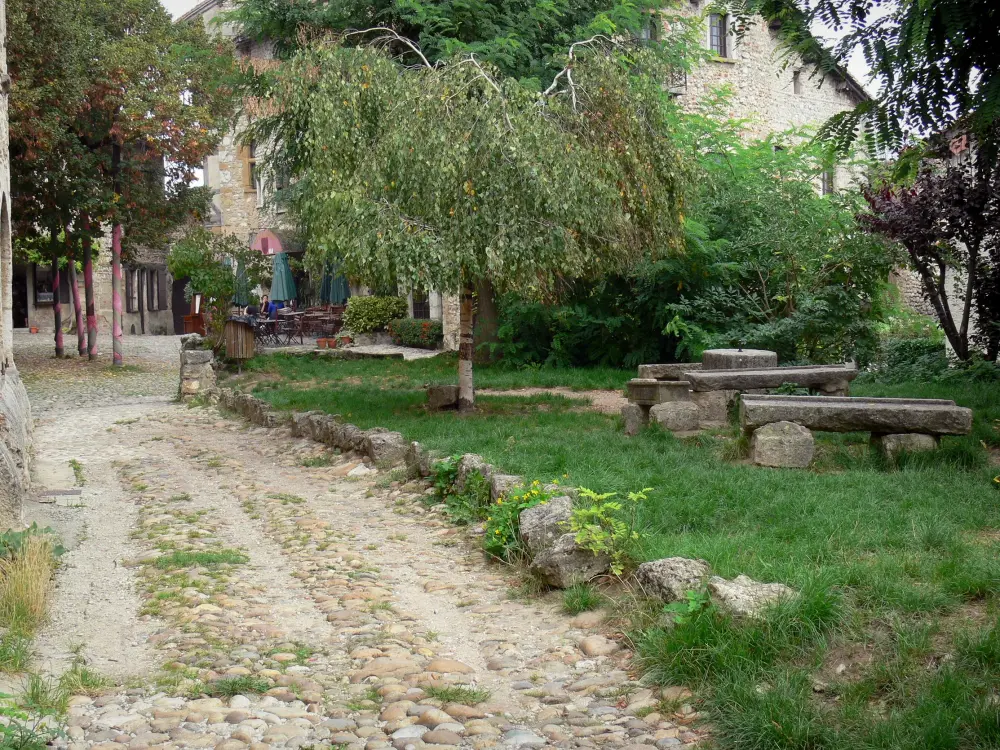 Pérouges - Arbres et maisons de la place de la Halle (place du Tilleul)