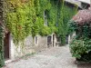 Pérouges - Paved alley and facade covered with Virginia creeper 