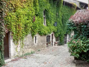 Pérouges - Paved alley and facade covered with Virginia creeper 