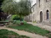 Pérouges - Arbre pleureur et maison de la cité médiévale