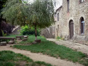 Pérouges - Weeping tree and house in the medieval town