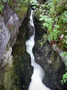 Pertes de l'Ain - Gorge étroite et rivière Ain