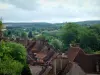 Pesmes - Roofs of the houses in the village surrounded by trees