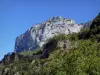 Petits Goulets road - Vercors Regional Nature Park: view of the cliffs overlooking the vegetation