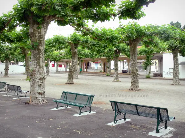 Peyrehorade - Place agrémentée de platanes et de bancs