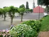 Peyrehorade - Coloque Sablot con su frontón, hortensias en flor y árboles