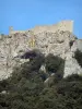 Peyrepertuse castle - Remains of the perched fortress