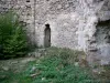 Peyrusse-le-Roc - Site médiéval : ruines de l'ancienne église Notre-Dame-de-Laval