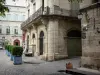 Pézenas - Altstadt: ehemaliges konsularisches Haus (Haus der Kunstberufe), Sträucher in Töpfen, gepflasterter Boden