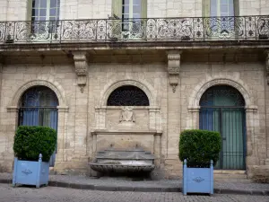 Pézenas - Altstadt: ehemaliges konsularisches Haus (Haus der Kunstberufe), Sträucher in Töpfen, Kopfsteinpflaster