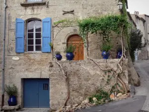 Pézenas - Vieille ville : maison en pierre aux volets bleus avec des plantes en pots