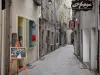 Pézenas - Old Town: schildersezel, geplaveide straat met winkels en woningen