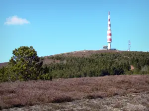 Pic de Nore - Vue sur le pic de Nore, point culminant de la Montagne Noire, et son émetteur de télévision