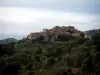 Pigna - Village perché de Pigna entouré d'arbres et d'oliviers (en Balagne)