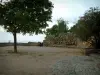 Pigna - Place du village et ses arbres (en Balagne)