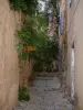 Pigna - Rue étroite pavée en escalier avec des maisons ornées de plantes grimpantes (en Balagne)