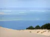 Pilat dune - Views of the Atlantic Ocean from the Pilat dune 