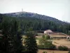 Pilat Regional Nature Park - Pilat mountain area: meadows, trees, house, forest, Crêt de Botte tower and TV broadcasting station of the Crêt de l'Oeillon