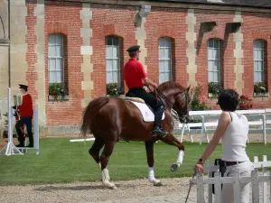 Le Pin national stud farm - Rider on horseback at Jeudis du Pin equestrian show on the town of Le Pin-au-Haras