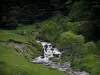 Pique valley - River, trees and grassland, in the Pyrenees