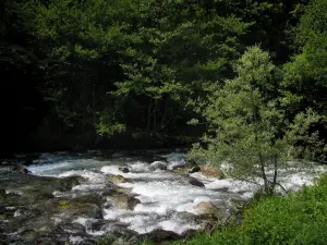 Pique valley - River with cliffs and trees along the water, in the Pyrenees