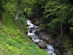 Pique valley - River with cliffs and trees along the water, in the Pyrenees