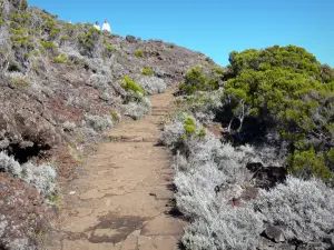 Piton de la Fournaise - Sentier de randonnée menant au Nez Coupé de Sainte-Rose