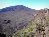 Piton de la Fournaise peak - Hiking trail overlooking the volcano and the Formica Léo crater