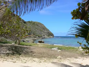 Plage de l'anse Maurice - Paysage aux abords de la plage